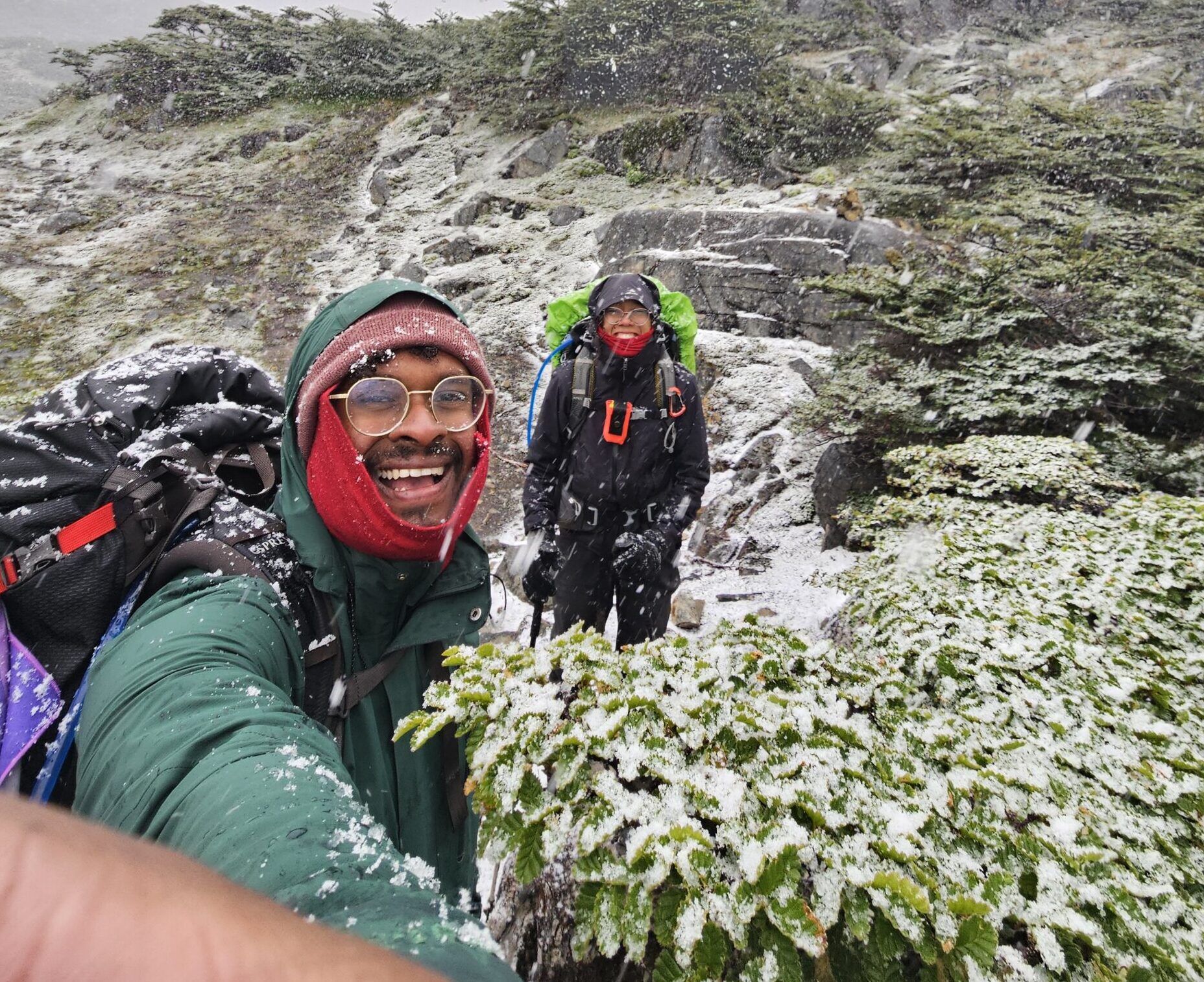 snowing in the dientes de navarino